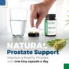 Suplemento natural para salud prostática y vejiga masculina