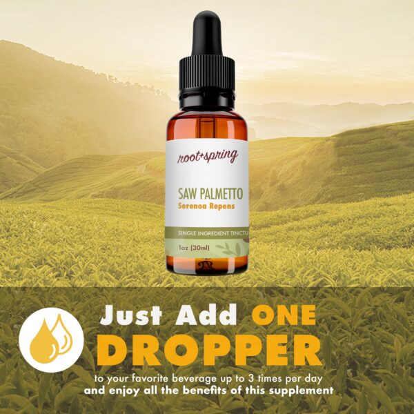 Suplemento natural de Saw Palmetto para hombres y mujeres