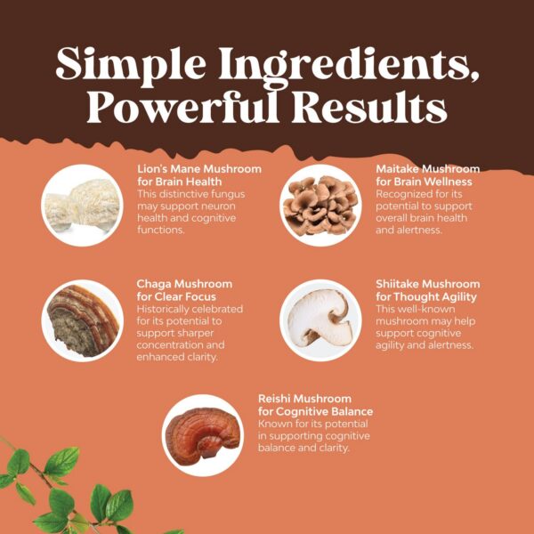 Cápsulas para apoyo mental y memoria con hongos adaptógenos