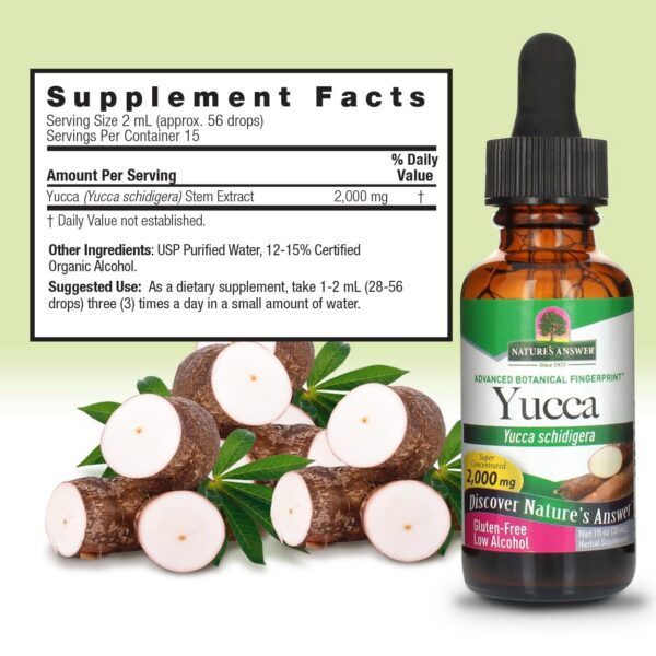 Suplemento natural para soporte inmune y bienestar