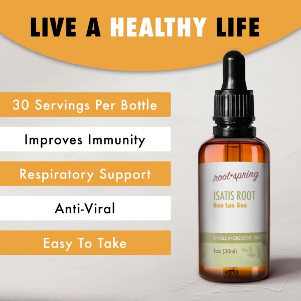 Suplemento natural tcm raíz isatis para sistema respiratorio