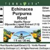 Suplemento natural TerraVita extracto de Echinacea Purpurea