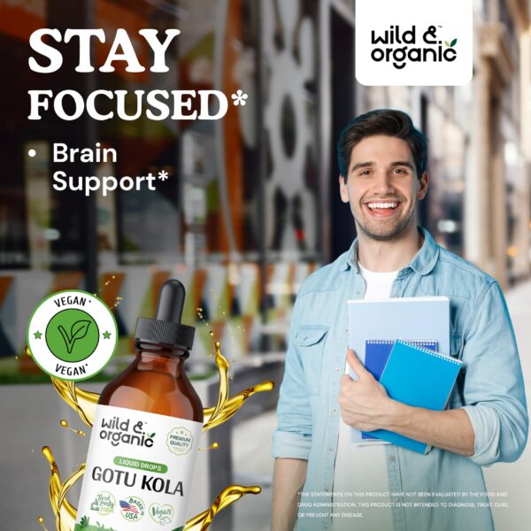 Suplemento natural tinturas bacopa y gotu kola sin alcohol