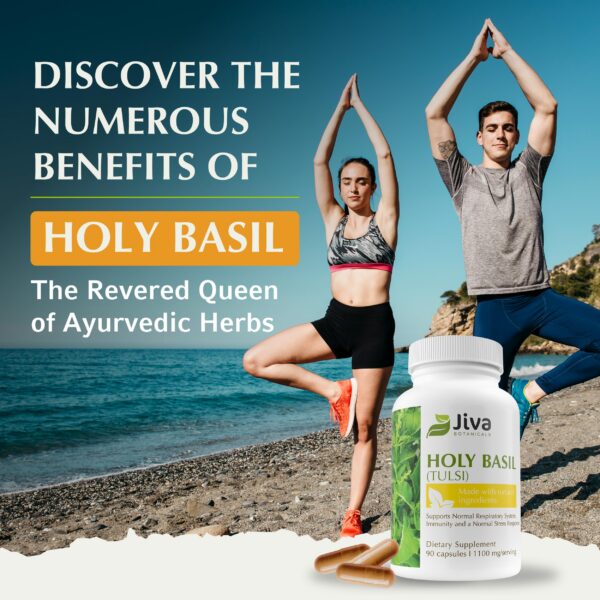 Suplemento natural de tulsi para bienestar y sistema inmunológico