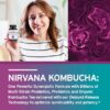 Suplemento Nirvana Kombucha apoyo digestivo e inmunológico