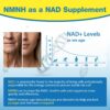 Suplemento NMNH orgánico puro para longevidad y foco