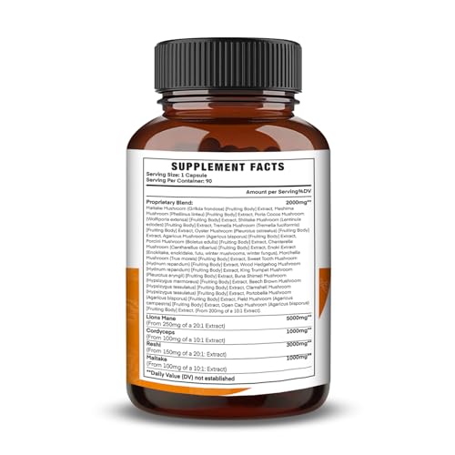 Suplemento nootrópico natural con extractos de 24 hongos