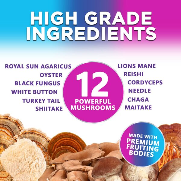 Suplemento nootrópico gomitas de hongos para enfoque cerebral