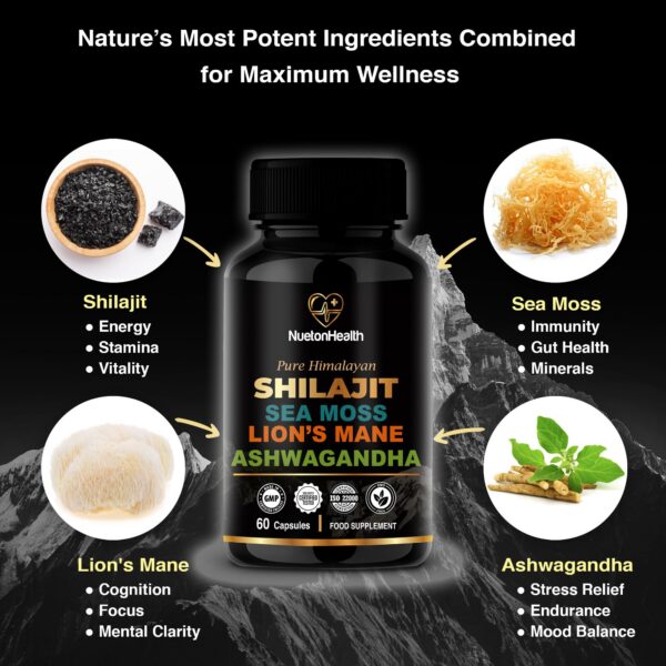 Suplemento NUETONHEALTH Shilajit mezcla natural plantas saludables