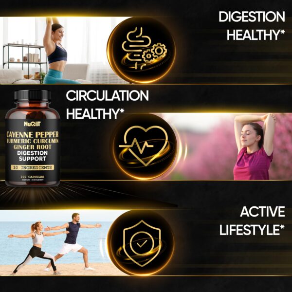 Version 1.0.0 Suplemento NUQIIT con cúrcuma, canela y jengibre natural