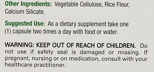 Suplemento nutricional cápsulas raíz Astrágalo 60 unidades