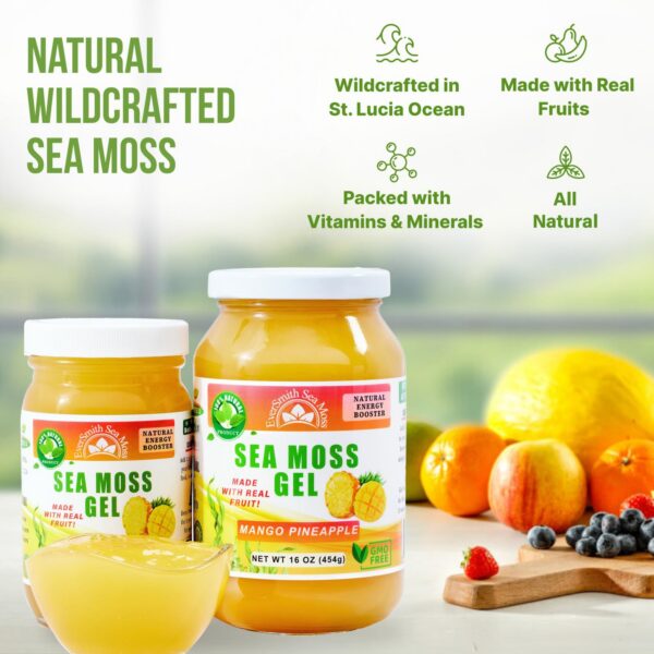 Suplemento nutricional de musgo de mar crudo