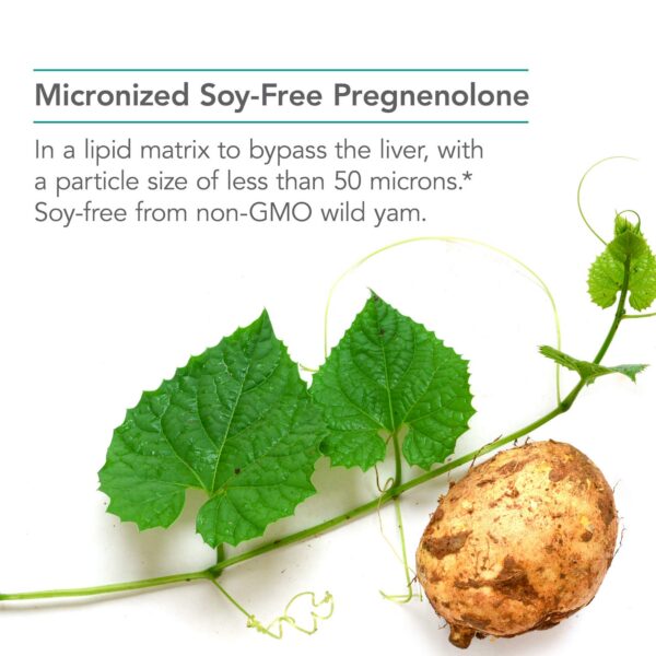 Version 1.0.0 Suplemento Nutricology Pregnenolona en matriz lipídica