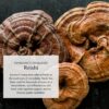 Suplemento orgánico Anima Mundi para smoothies y café