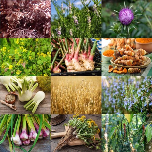 Suplemento orgánico aprobado por consultora de lactancia