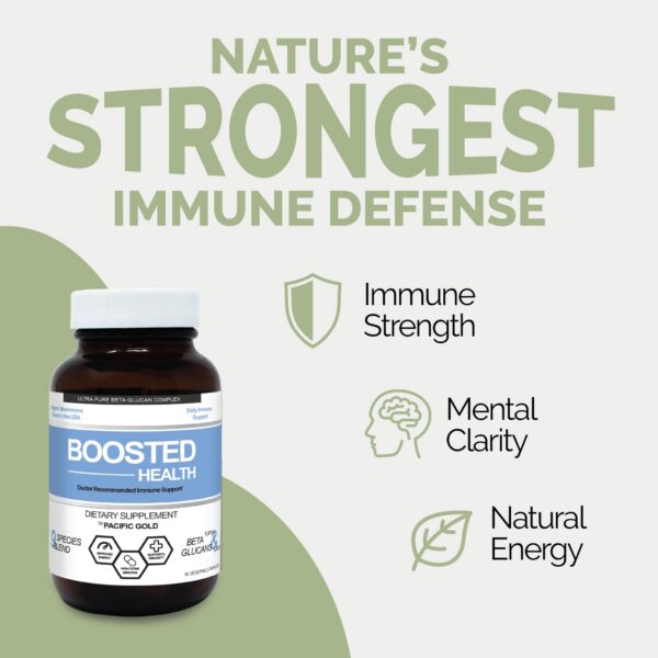 Suplemento orgánico Boosted Health hongos para memoria concentración