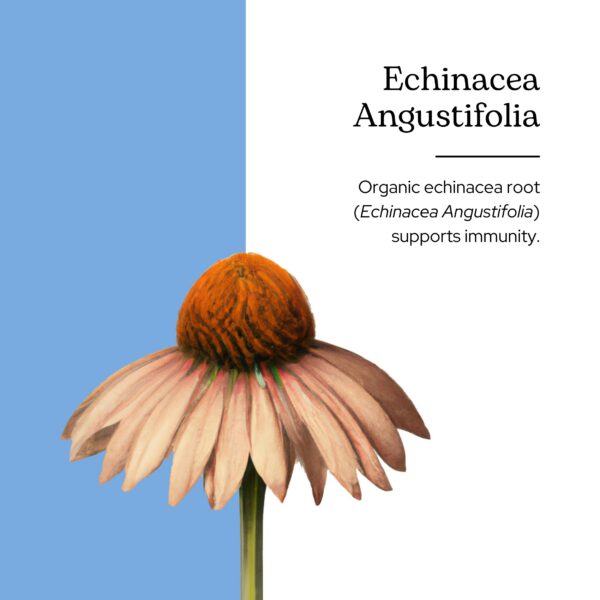 Version 1.0.0 Suplemento orgánico Echinacea ECLECTIC INSTITUTE cápsulas detalle