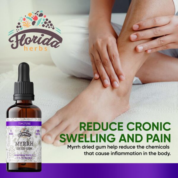Suplemento orgánico FLORIDA HERBS extracto de mirra 670mg