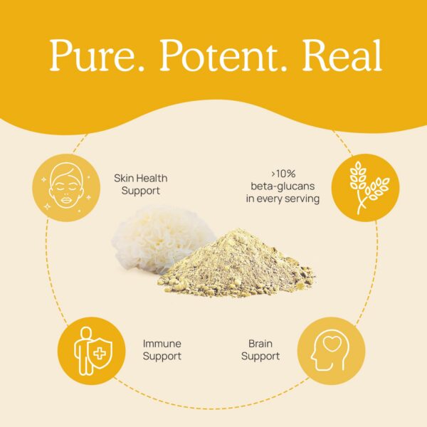 Frasco de polvo de Tremella Real Mushrooms para salud y piel