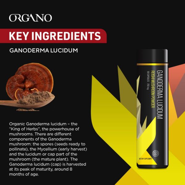 Suplemento Organo OGX Ganoderma Lucidum ‘Rey de las Hierbas’