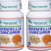 Suplemento Planet Ayurveda Boswellia Curcumina 2 frascos 60 cáps