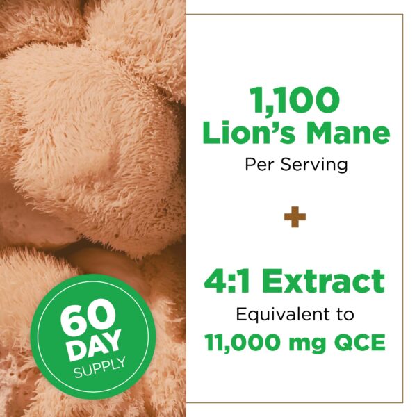 Version 1.0.0 Suplemento Plantvital Melena de León cápsulas