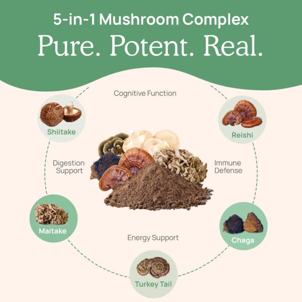 Suplemento en polvo 45 porciones Real Mushrooms hongos orgánicos