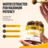 Suplemento en polvo FreshCap Cordyceps envase lateral