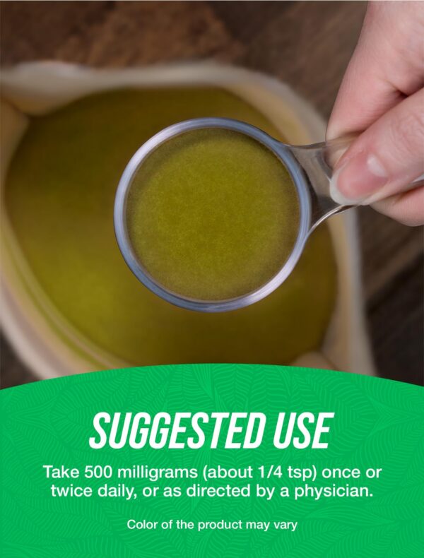 Suplemento polvo gymnema apoyo bienestar natural