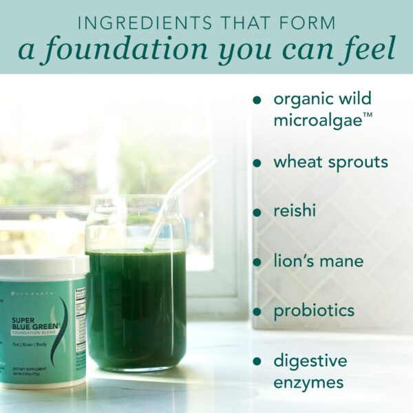 Version 1.0.0 Suplemento en polvo New Earth Super Blue Green ingredientes