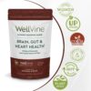 Suplemento polvo WellVine con flavanoles de cacao natural