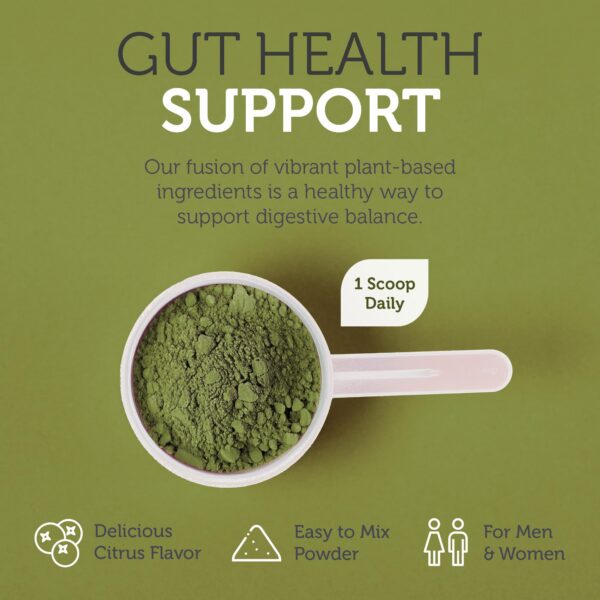 Suplemento en polvo Zahler Core Greens vegano kosher sin GMO