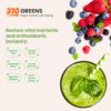 Version 1.0.0 suplemento en polvo verde con spirulina y antioxidantes 310 nutrition