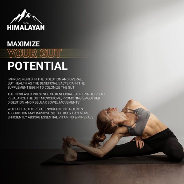 Suplemento probiótico Divya Himalayan equilibrio microbiano intestinal