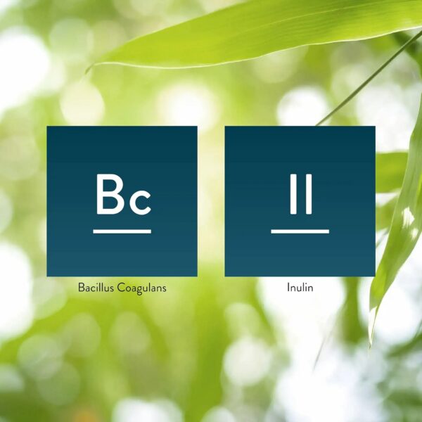 Version 1.0.0 Suplemento probiótico estable a temperatura ambiente 90 cápsulas