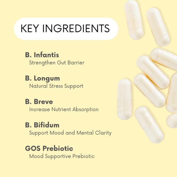 Suplemento probiótico con prebióticos GOS para microbioma saludable