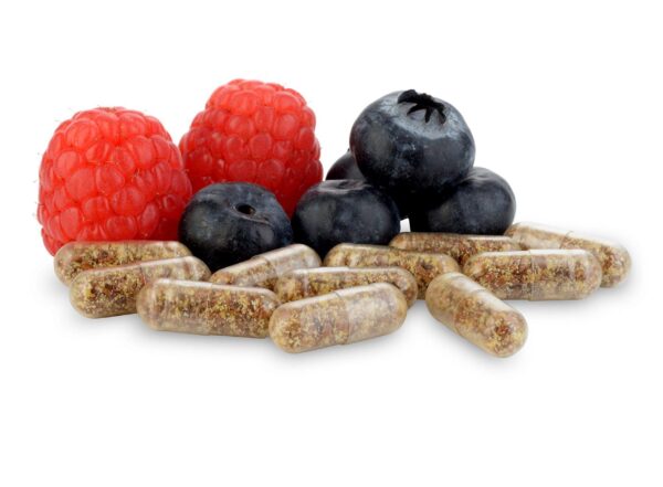 Version 1.0.0 Suplemento probiótico con prebióticos para intestino saludable