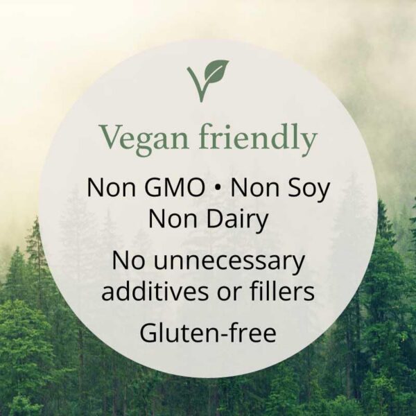 Suplemento Probióticos 14 mejora flora intestinal