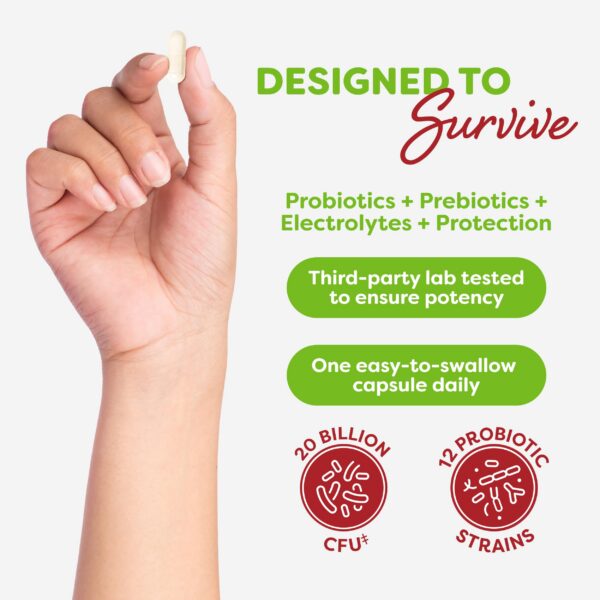 Suplemento Probulin salud digestiva e inmunidad diaria