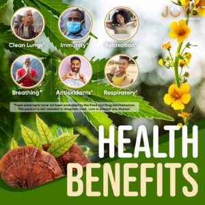 Suplemento pulmonar JOYLI con hoja de gordolobo y reishi