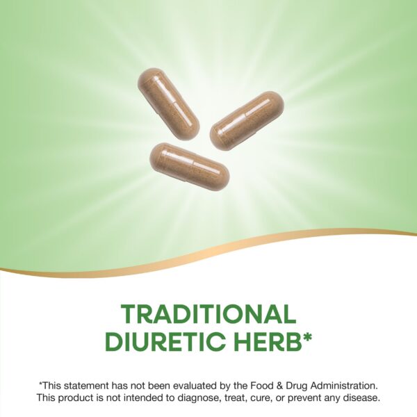 Suplemento de raíz de diente de león vegano Nature's Way