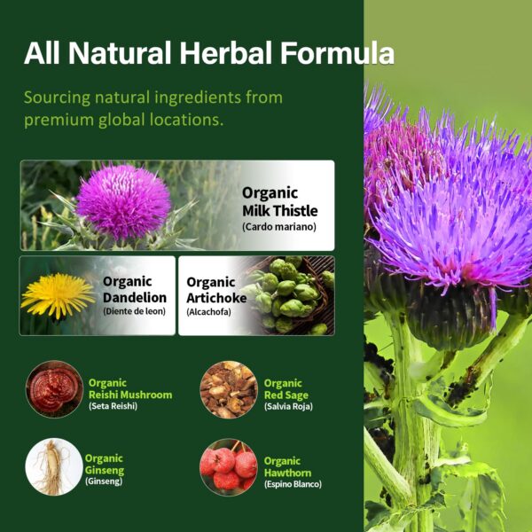 Suplemento para reforzar sistema inmune y salud hepática