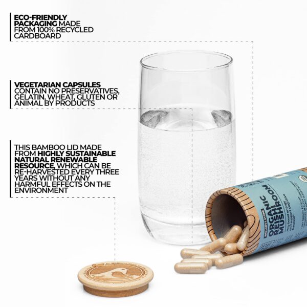 Suplemento Reishi hongos orgánicos cápsulas inmunidad energía
