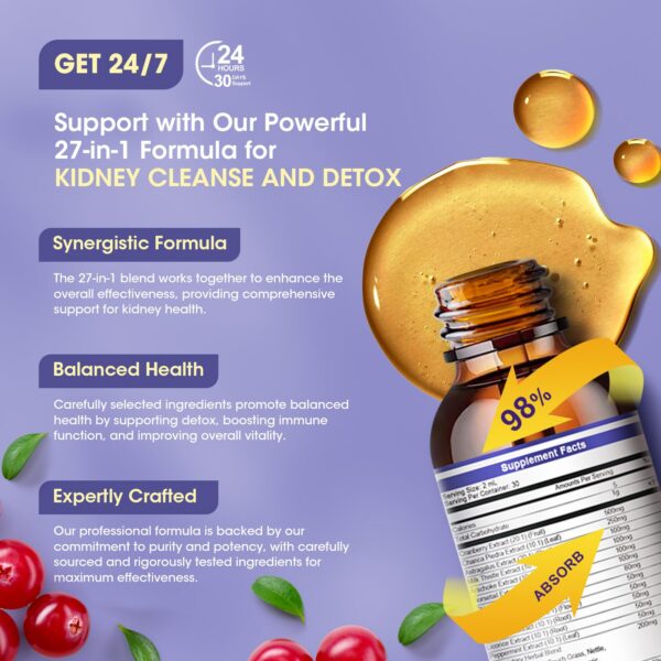 Version 1.0.0 Suplemento renal GREENPEOPLE 20:1 concentrado extracto de arándano