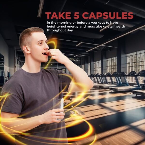 Version 1.0.0 Suplemento de res alimentada con pasto para salud articular y nutrición