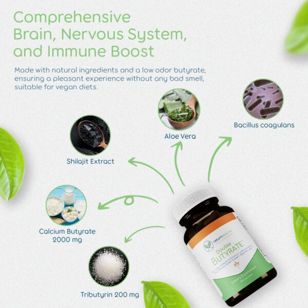 Suplemento Return Healthy para función cerebral y nerviosa