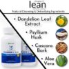 Suplemento para salud intestinal y colon Cleanse & Lean