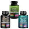 Frasco de suplemento Shilajit con cúrcuma y moringa para hombres
