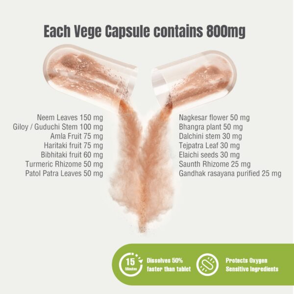 Suplemento Silfina MTL Detox para sistema inmune y digestivo