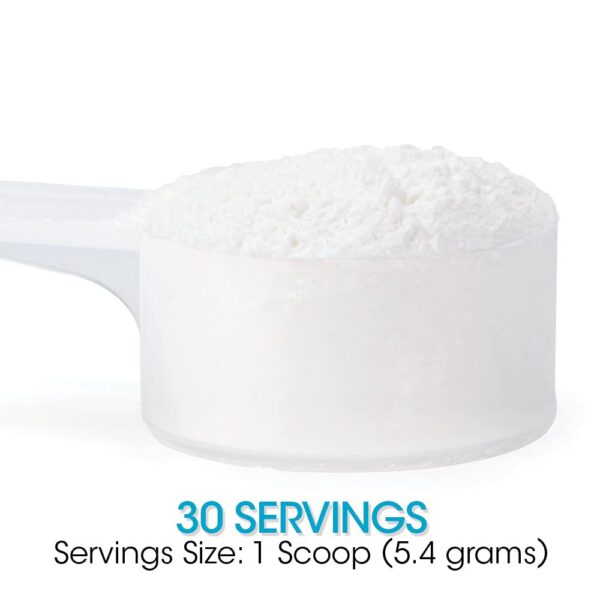 Suplemento Silver Fern Gut Repair envase y contenido